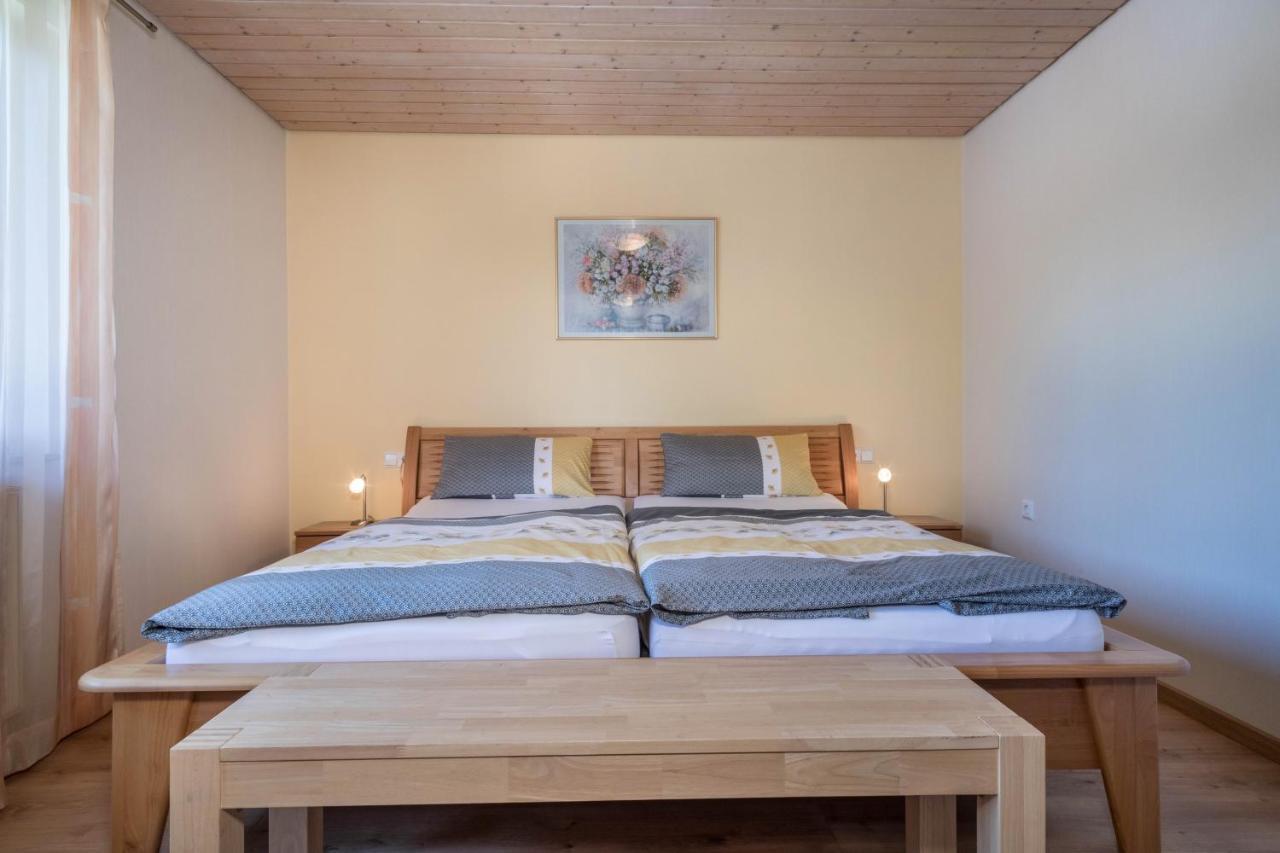 Apartament Haus Schussenblick Og Eriskirch Zewnętrze zdjęcie